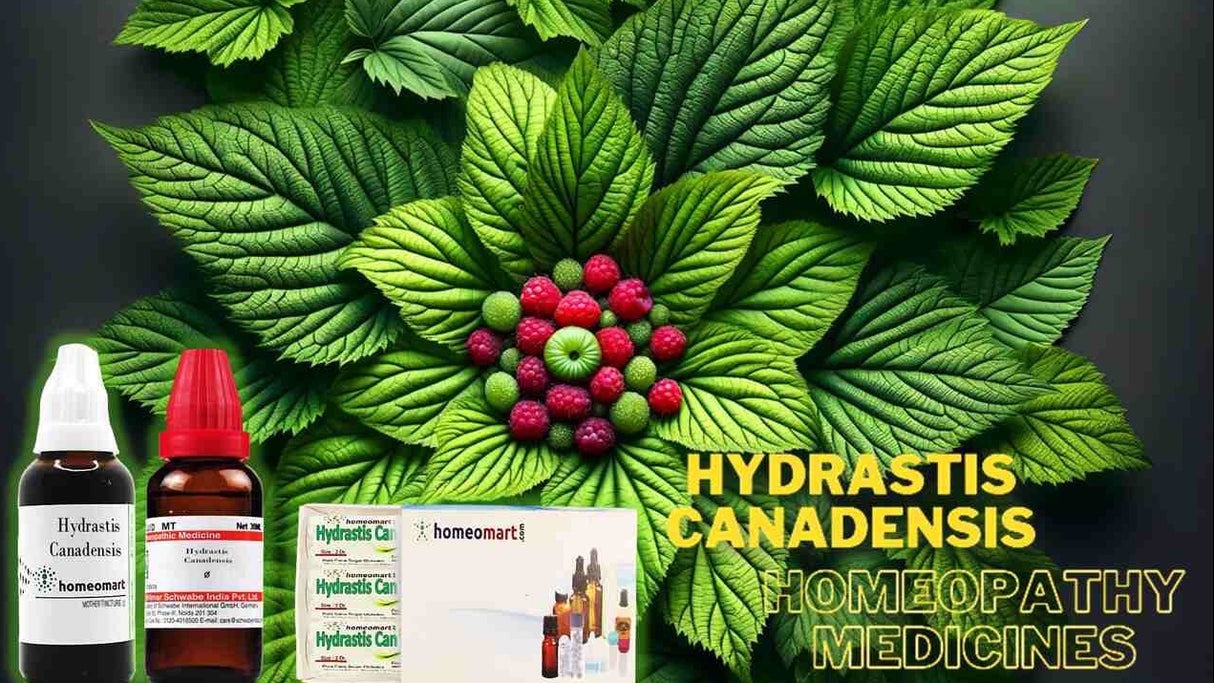 Hydrastis Canadensis Homeopathy medicines