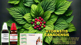 Hydrastis Canadensis Homeopathy medicines