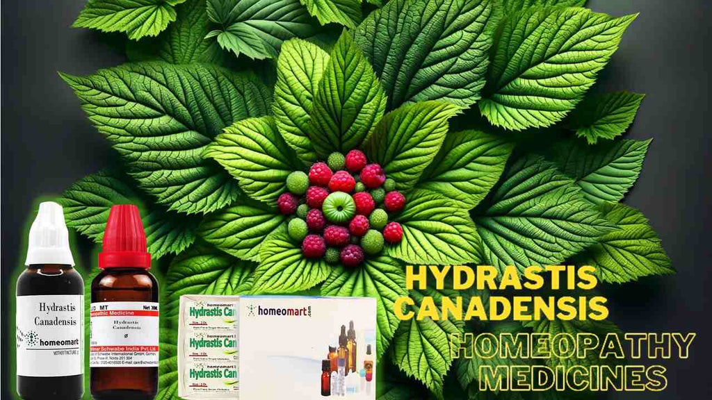 Hydrastis Canadensis Homeopathy medicines