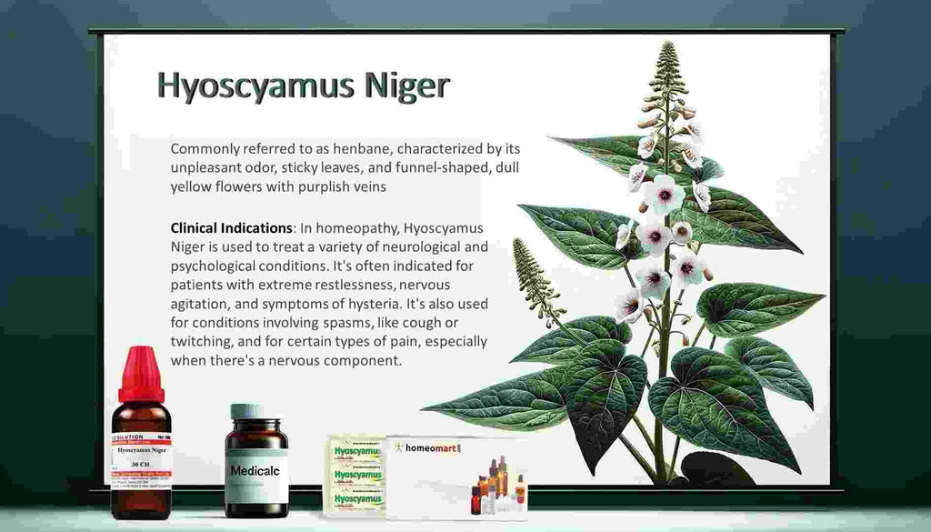 Hyoscyamus Niger 2 Dram Pills 6C, 30C, 200C, 1M, 10M