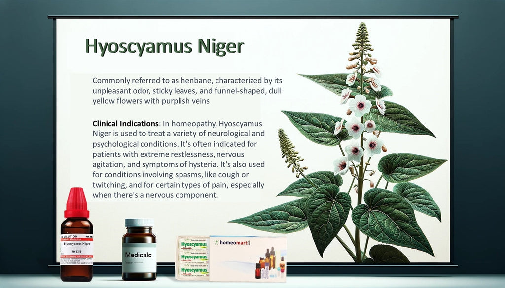 Hyoscyamus Niger Homeopathy Mother Tincture Dilution Pills