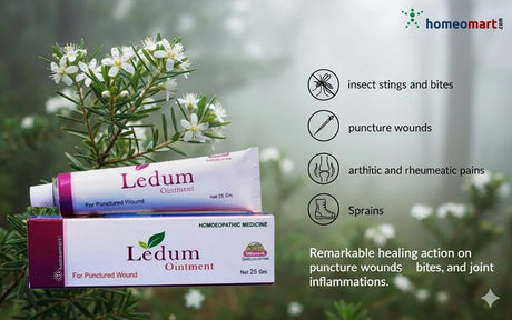 Ledum ointment packaging with a natural background showing Wild Rosemary or Marsh Cistus plant and banfits