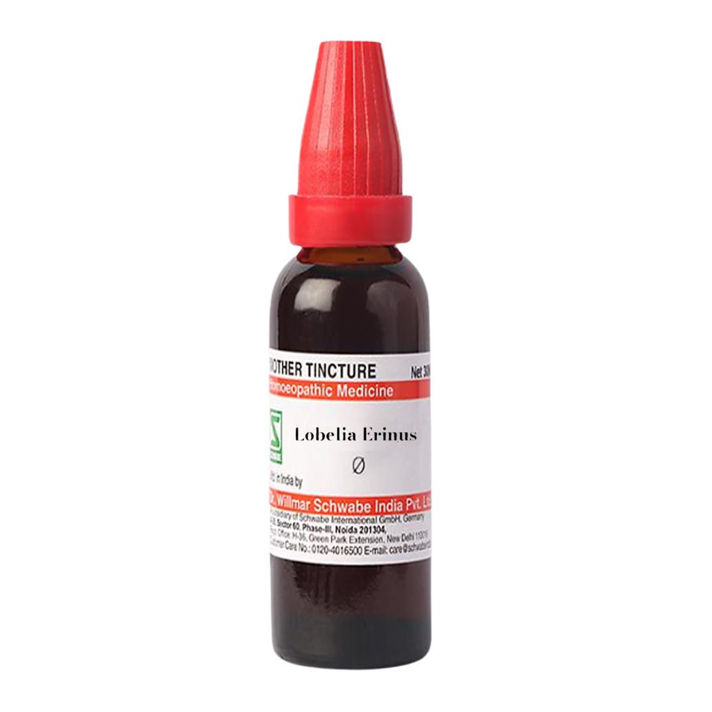 Lobelia Erinus Mother Tincture