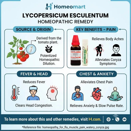homeopathic pills for influenza body aches, homeopathic pills for watery coryza, homeopathic pills for dry night cough, homeopathic pills for head congestion, homeopathic pills for flu headache, homeopathic pills for muscular pain after flu,