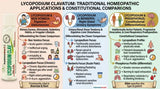 lycopodium-clavatum, lycopodium, homeopathic-pills, homeopathy-remedy, homeopathic-dilution, medicated-pills, digestive-support, bloating, abdominal-bloating, excessive-gas, flatulence, early-satiety, indigestion, slow-digestion, constipation, digestive-weakness, liver-complaints, gallbladder-complaints, urinary-complaints, renal-complaints, kidney-gravel, uric-acid-tendency, right-sided-symptoms, 4-8-pm-aggravation, Lycopodium-30C, Lycopodium-200C, Lycopodium-1M, Nux-Vomica, Berberis-Vulgaris, Phosphorus