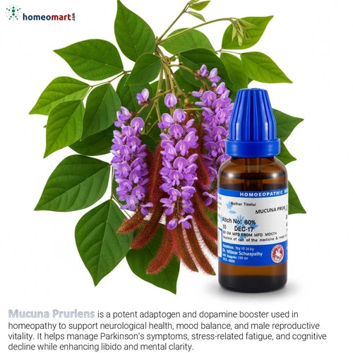Homeopathic medicine bottle with purple flowers and green leaves of Mucuna Pruriens, commonly known as Velvet Bean on a white background