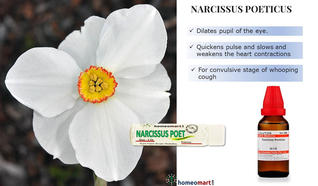 Narcissus poeticus homeopathy medicine uses benefits