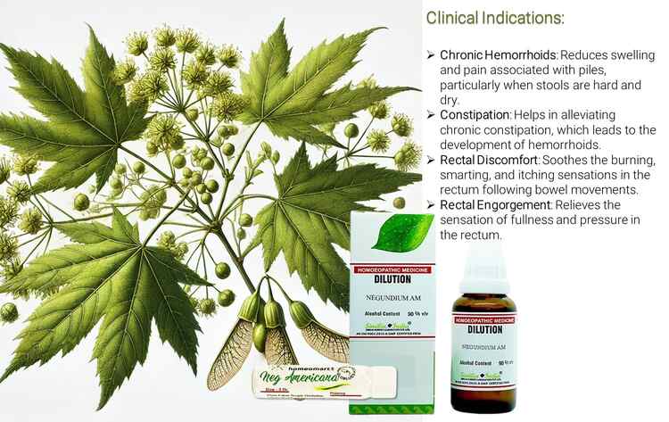 Clinical Indications of Nedundinum Americana dilution