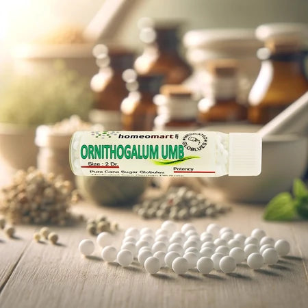 ornithogalum umbellatum homeopathy pills, ornithogalum umbellatum pills, ornithogalum umbellatum homeopathic medicine, buy ornithogalum umbellatum, homeopathic medicine for acidity, homeopathic medicine for indigestion, gastric pain homeopathy, dyspepsia homeopathic remedy, homeopathic stomach medicine, digestive homeopathy pills, natural acidity relief, stomach pain homeopathy medicine, gastric discomfort remedy, bloating homeopathic medicine, acidity relief homeopathy