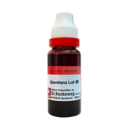 Bottle of Dr. Reckeweg Gentiana Lut Ül on a white background