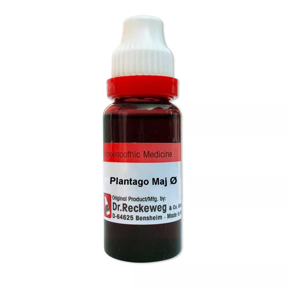 Bottle of Dr. Reckeweg Plantago Maj on a white background