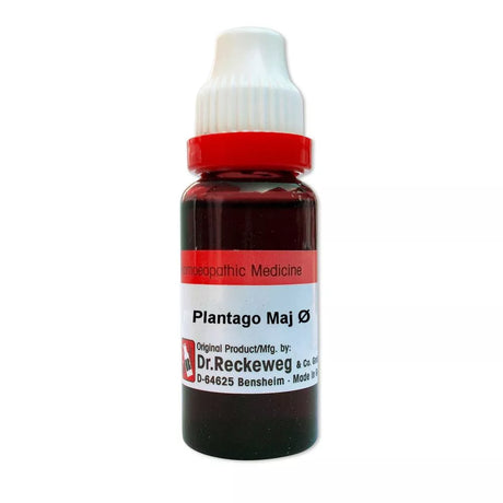 Bottle of Dr. Reckeweg Plantago Maj on a white background