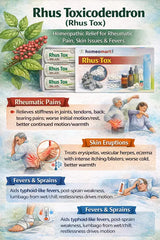 rhus toxicodendron homeopathic medicine, rhus tox uses homeopathy, homeopathy for joint pain, arthritis homeopathic remedy, rheumatism homeopathy medicine, eczema homeopathic treatment, skin allergy homeopathy remedy