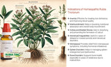 Homeopathic Rubia Tinctorum bottle with botanical illustration and uses listed.