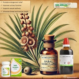 Sabal serrulata uses and benefits in homeopathy