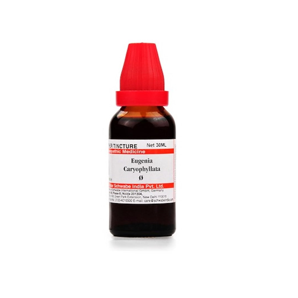 Schwabe Eugenia Caryophyllata Homeopathy Mother Tincture Q
