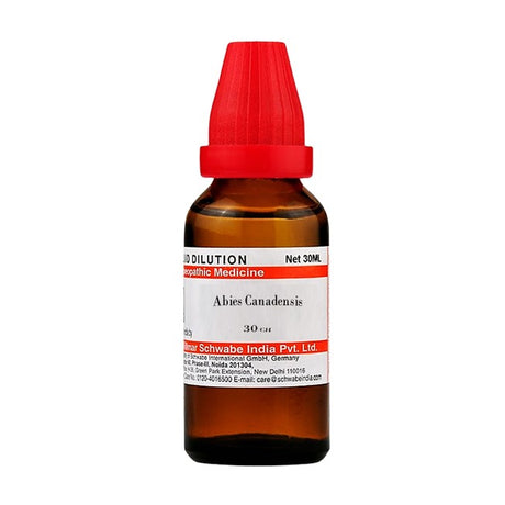 Bottle of Abies Canadensis homeopathic medicine with a red cap on a white background