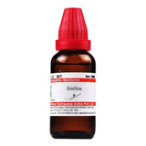 Bottle of Absinthium medicine with a red cap on a white background