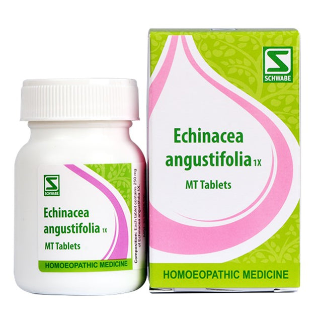 Echinacea angustifolia 1X homoeopathic medicine packaging including bottle and box with Schwabe logo.