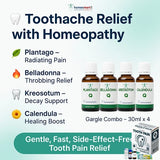 Homeopathy toothache relief infographic with labels on a light blue background