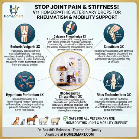 homeopathic drops for joint pain in animals, homeopathic support for animal arthritis, veterinary drops for joint stiffness, homeopathic drops for lameness in animals, drops for limb weakness in animals, homeopathic support for muscle pain in animals, veterinary drops for myalgia, homeopathic support for spondylosis in animals