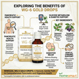 pancreatic health homeopathy drops, natural blood sugar support, Gymnema homeopathy, Syzygium jambolanum drops, holistic pancreas care