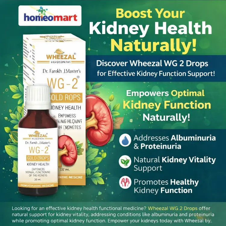 homeopathic medicine for kidney health and proteinuria treatment, best drops for albuminuria and kidney function support natural, buy Wheezal WG 2 kidney drops online India, effective homeopathy for kidney disorders and urinary problems,