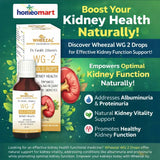 homeopathic medicine for kidney health and proteinuria treatment, best drops for albuminuria and kidney function support natural, buy Wheezal WG 2 kidney drops online India, effective homeopathy for kidney disorders and urinary problems,