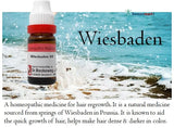 infographic showing spring of wiesbaden and bottle of medicine