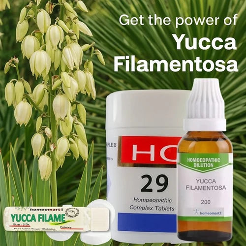 Get Yucca filamentosa homeopathy medicine in pills, tablets and drops