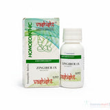 Vashisht Vashisht Zingiber 1X Tablets – Relief from Gas, Colic, Acidity & Menstrual Pain