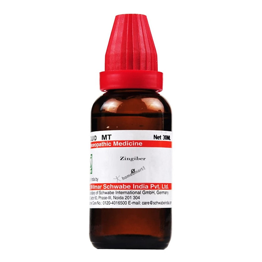 Schwabe Zingiber (Ginger) Homeopathy Mother Tincture Q