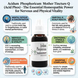 Acid Phos Q for memory weakness, homeopathic medicine for sexual weakness, natural remedy for exhaustion, Acidum Phosphoricum for premature greying, homeopathic tonic for weakness, remedy for emotional exhaustion, homeopathic remedy for physical debility