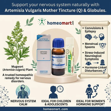 mother tincture for nervous disorders, homeopathy for menstrual cramps spasms, natural epilepsy treatment homeopathy, artemisia vulgaris dosage q, homeopathy medicine for fits, mugwort mother tincture benefits