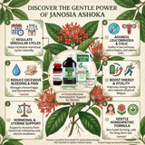 ashoka uterine tonic uses , uterine health tonic, dysmenorrhea relief homeopathy, women health tonic India, hormonal balance homeopathy,