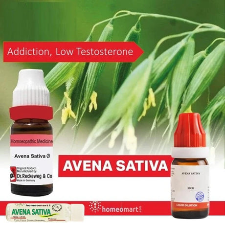 Two Avena Sativa homeopathic medicine bottles with oat plants in the background.