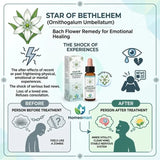 bach flower for emotional healing, bach flower for bereavement, bach flower drops for grief, bach flower emotional support remedy, star of bethlehem drops