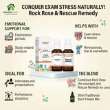 bach flower support for exam pressure, remedy for examination stress, flower remedy for performance pressure, bach flower drops for emotional strain, rock rose rescue mix for students, bach flower remedy for low confidence, flower essence for temporary stress