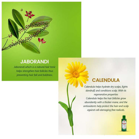 Arnica Hair Oil with Jaborandi, Cantharis Calendula benefits