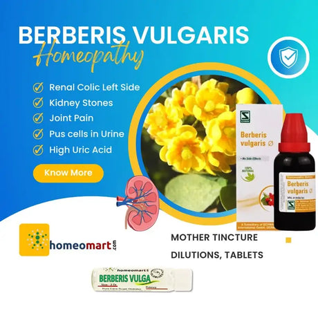 berberis vulgaris for kidney stone pain relief, renal colic pain relief, homeopathic medicine for gouty arthritis