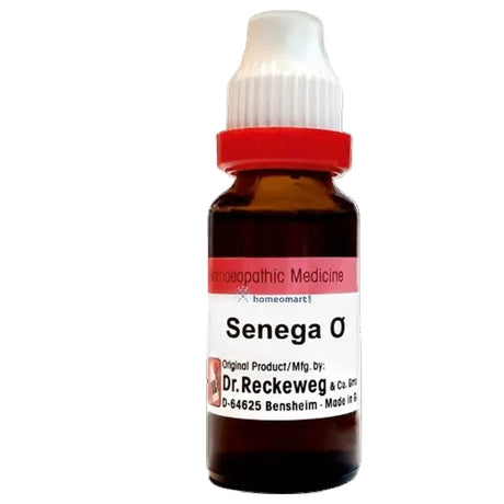 Senega Q, Senega Mother Tincture, buy Senega Q, Senega homeopathy, Senega for bronchitis, Senega for cough, Senega for chest congestion, Senega for wheezing, Senega medicine, Dr Reckeweg Senega, Schwabe Senega Q, Adel Senega Q, homeopathic expectorant, German homeopathic medicine