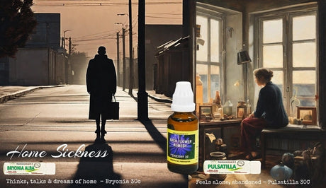 bach flower combination, homesickness treatment natural, buy bach flower remedies online, homesickness relief products, bach flower emotional support
