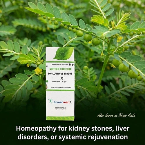 Homeopathy product packaging with green leaves of phyllanthus niruri in the background with benefits in text 