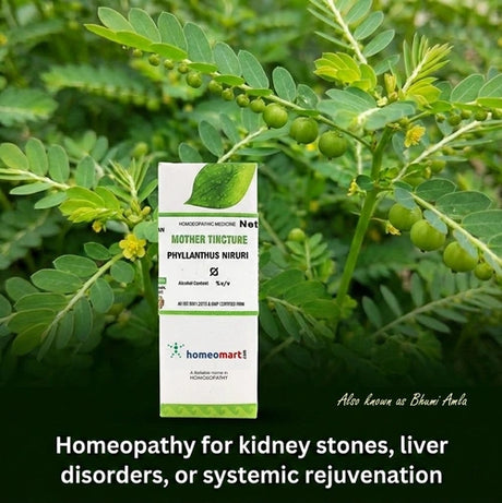 Homeopathy product packaging with green leaves of phyllanthus niruri in the background with benefits in text 