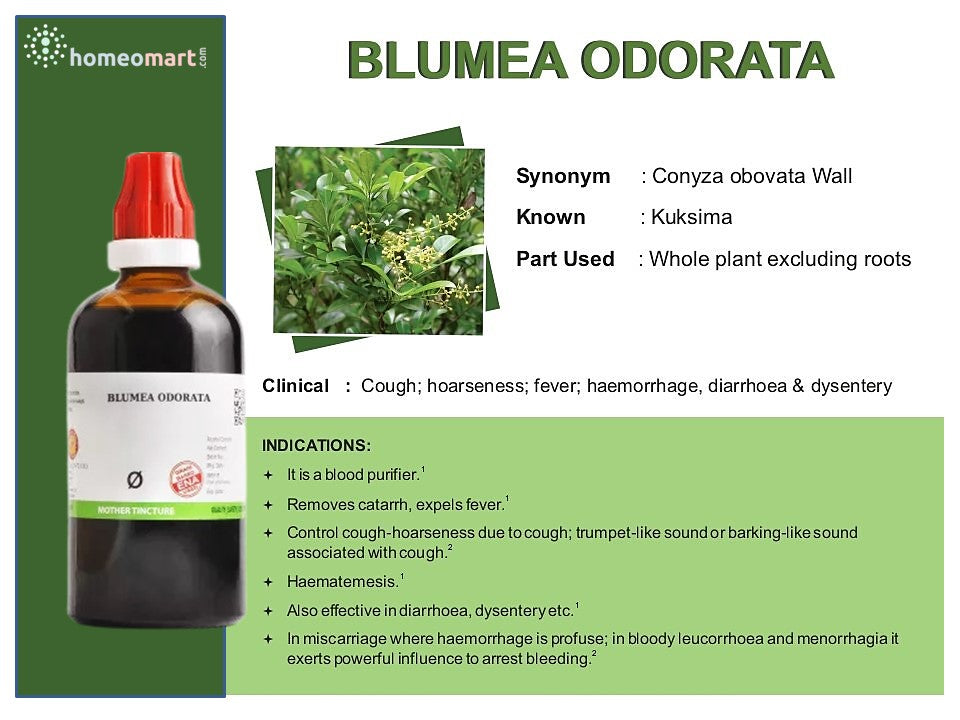 Blumea Odorata homeopathy uses benefits chart