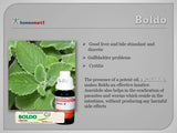 Homeopathy product for Boldo with leaves on a gray background and health benefits