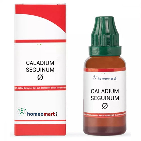 Caladium Seguinum Homeopathy Mother Tincture in red & white carton 