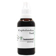 cephalandra indica mother tincture, cephalandra indica q, cephalandra indica homeopathy, coccinia indica mother tincture, coccinia indica q, homeopathic medicine for blood sugar support, homeopathic medicine for frequent urination, homeopathic mother tincture, cephalandra indica drops, homeopathic remedy for diabetes support, blood sugar homeopathic medicine, urinary support homeopathy, buy cephalandra indica q, cephalandra indica medicine, ivy gourd mother tincture