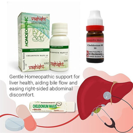 Homeopathic medicine packaging and illustrations of a liver with medical text on chelidonium health benefits on a white background