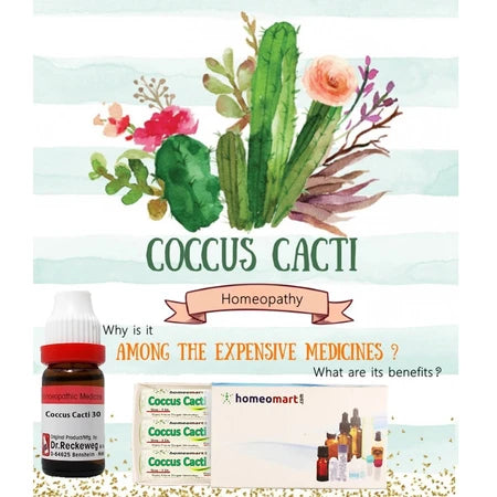 Coccus Cacti Homeopathic Pills for Whooping Cough & Asthma – 2 Dram ...